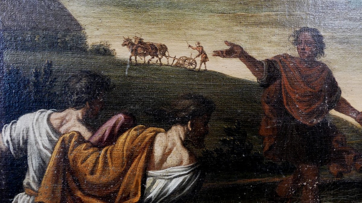 L'EBBREZZA DI NOE'-photo-7