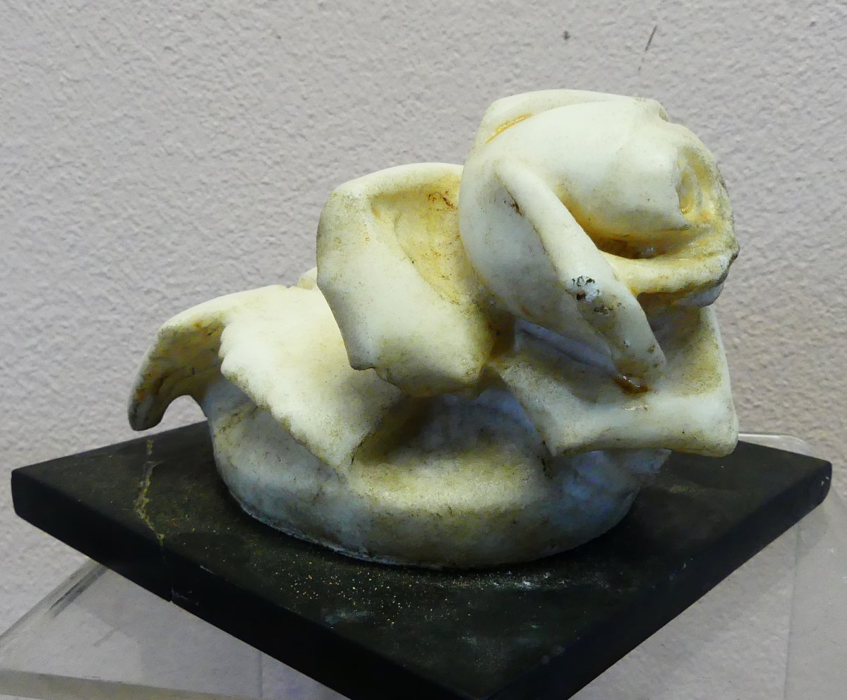 XIX SECOLO-photo-2