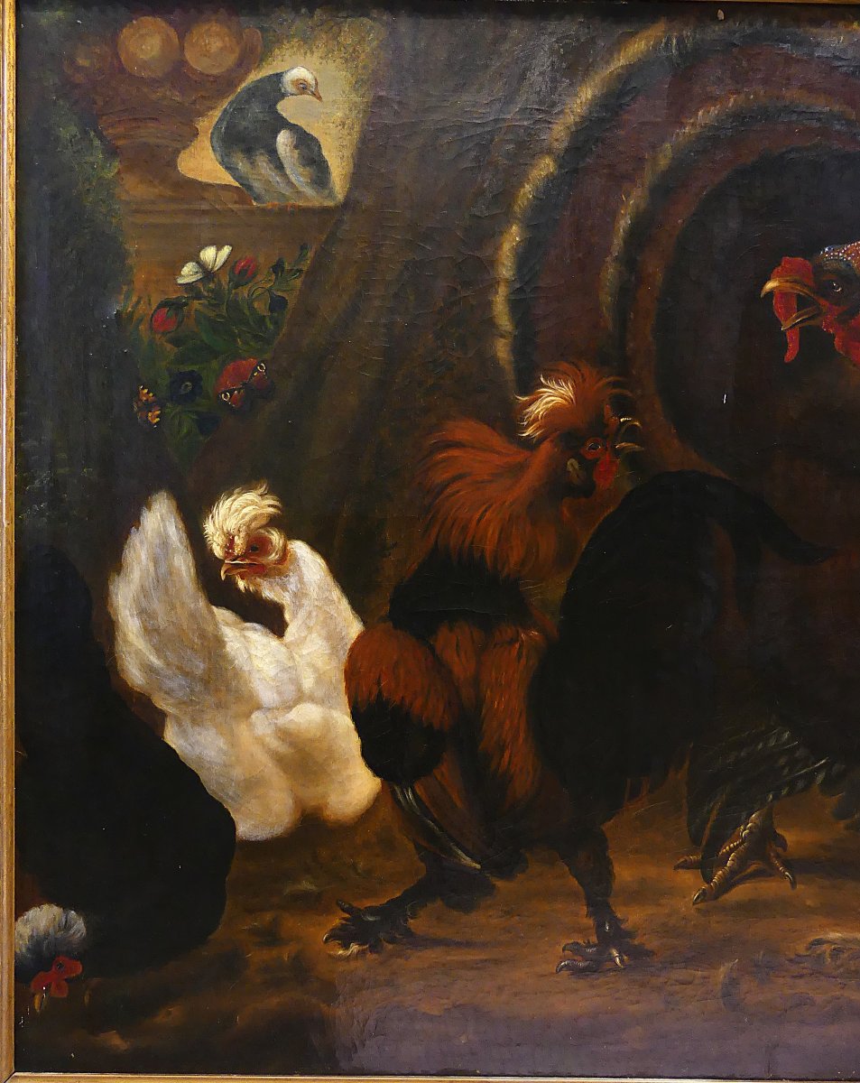 DISPUTA TRA TACCHINO E GALLO "" DA ABRAHAM BUSSCHOP"""-photo-2