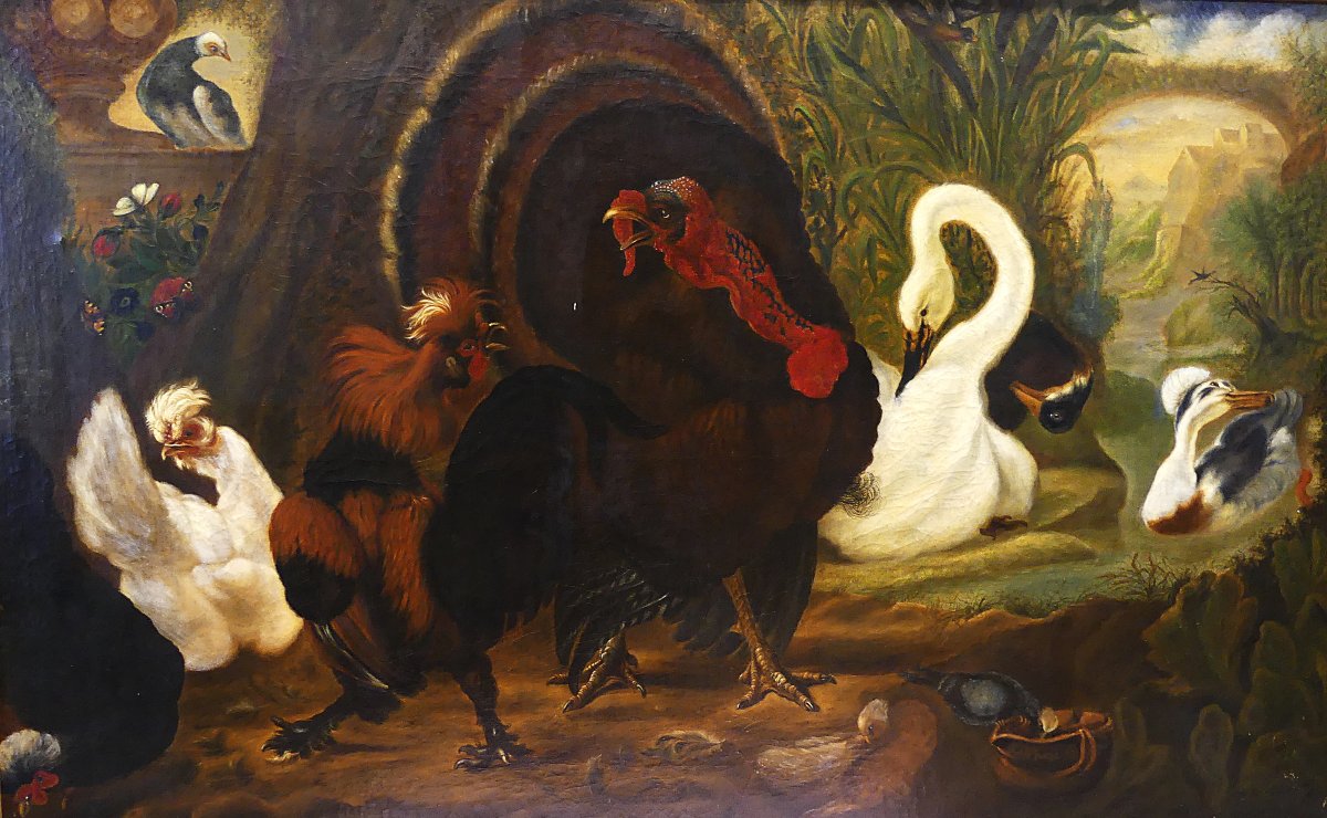 DISPUTA TRA TACCHINO E GALLO "" DA ABRAHAM BUSSCHOP"""-photo-3