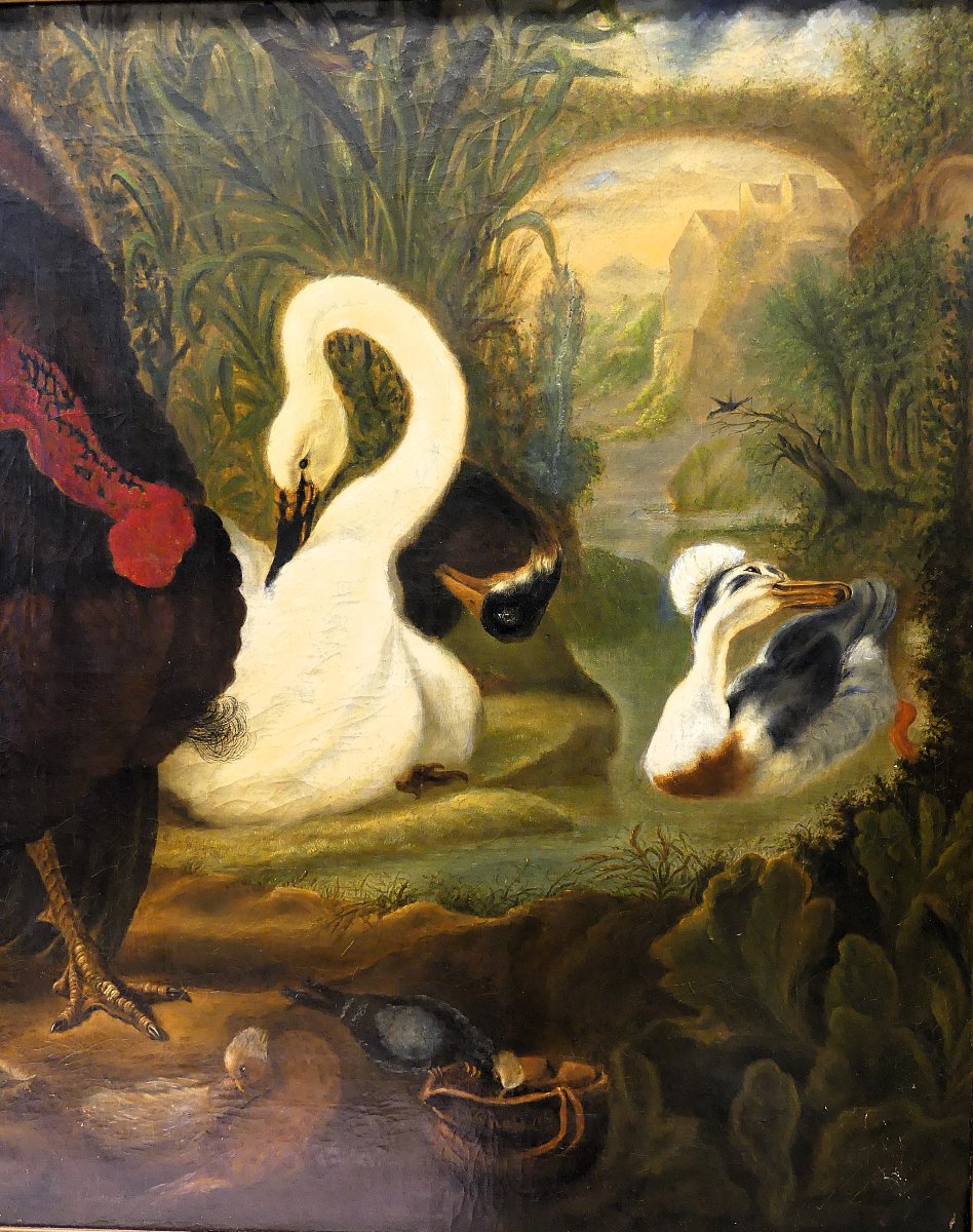 DISPUTA TRA TACCHINO E GALLO "" DA ABRAHAM BUSSCHOP"""-photo-4