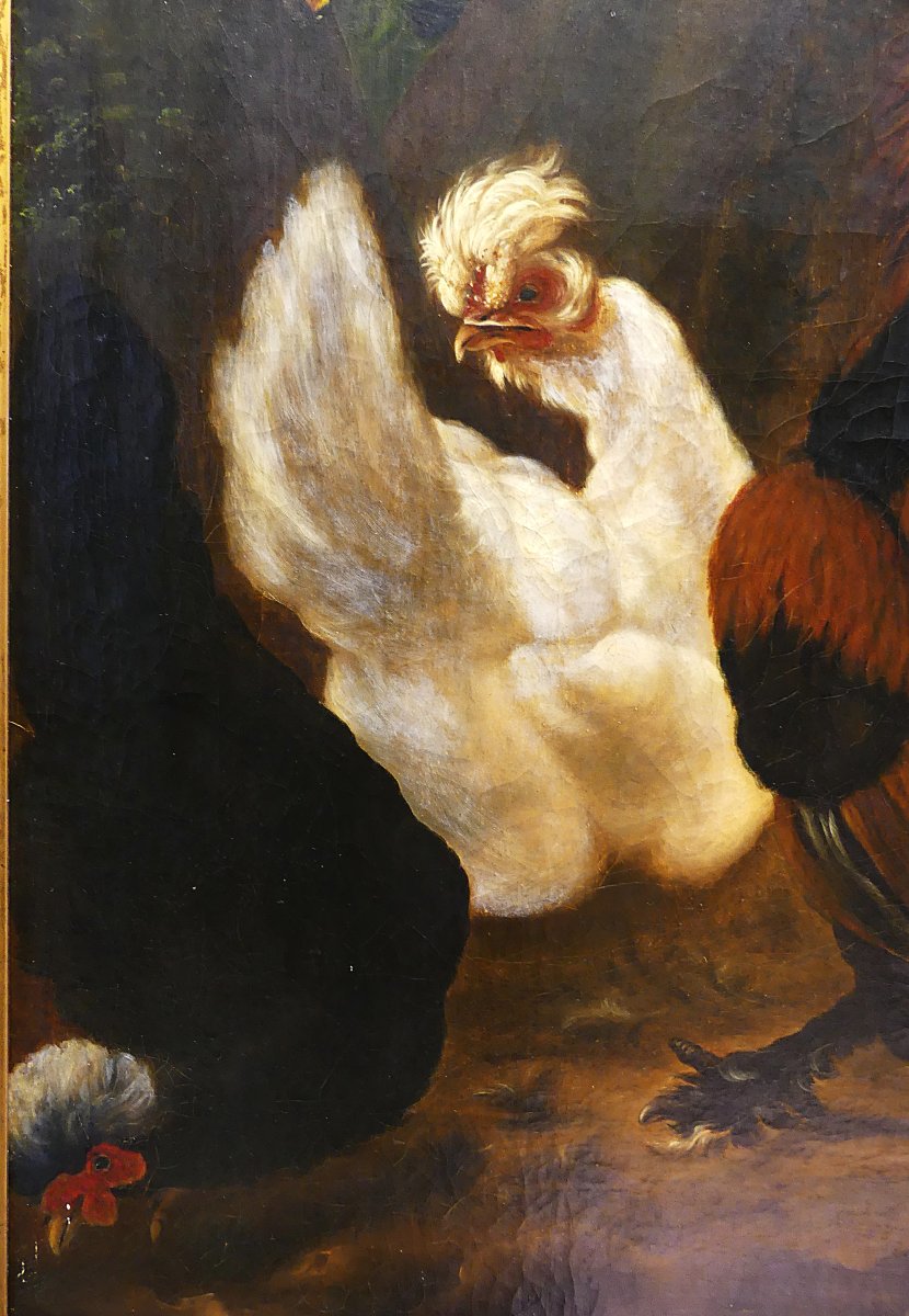 DISPUTA TRA TACCHINO E GALLO "" DA ABRAHAM BUSSCHOP"""-photo-2