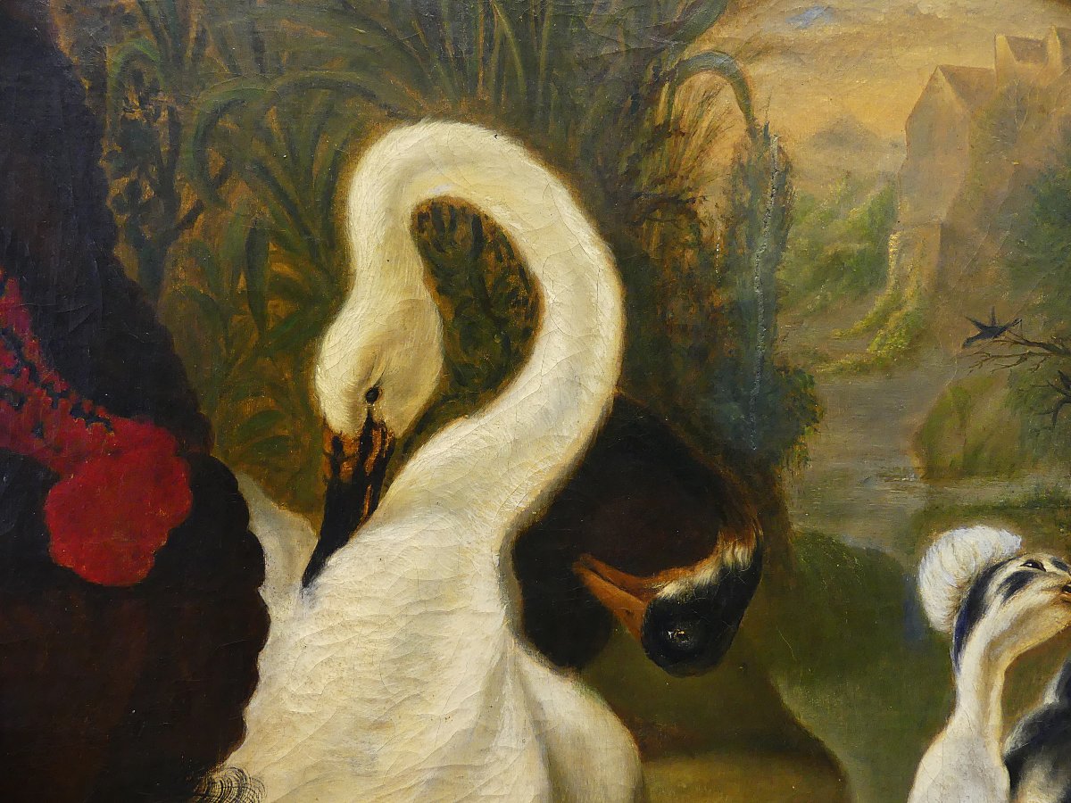 DISPUTA TRA TACCHINO E GALLO "" DA ABRAHAM BUSSCHOP"""-photo-5