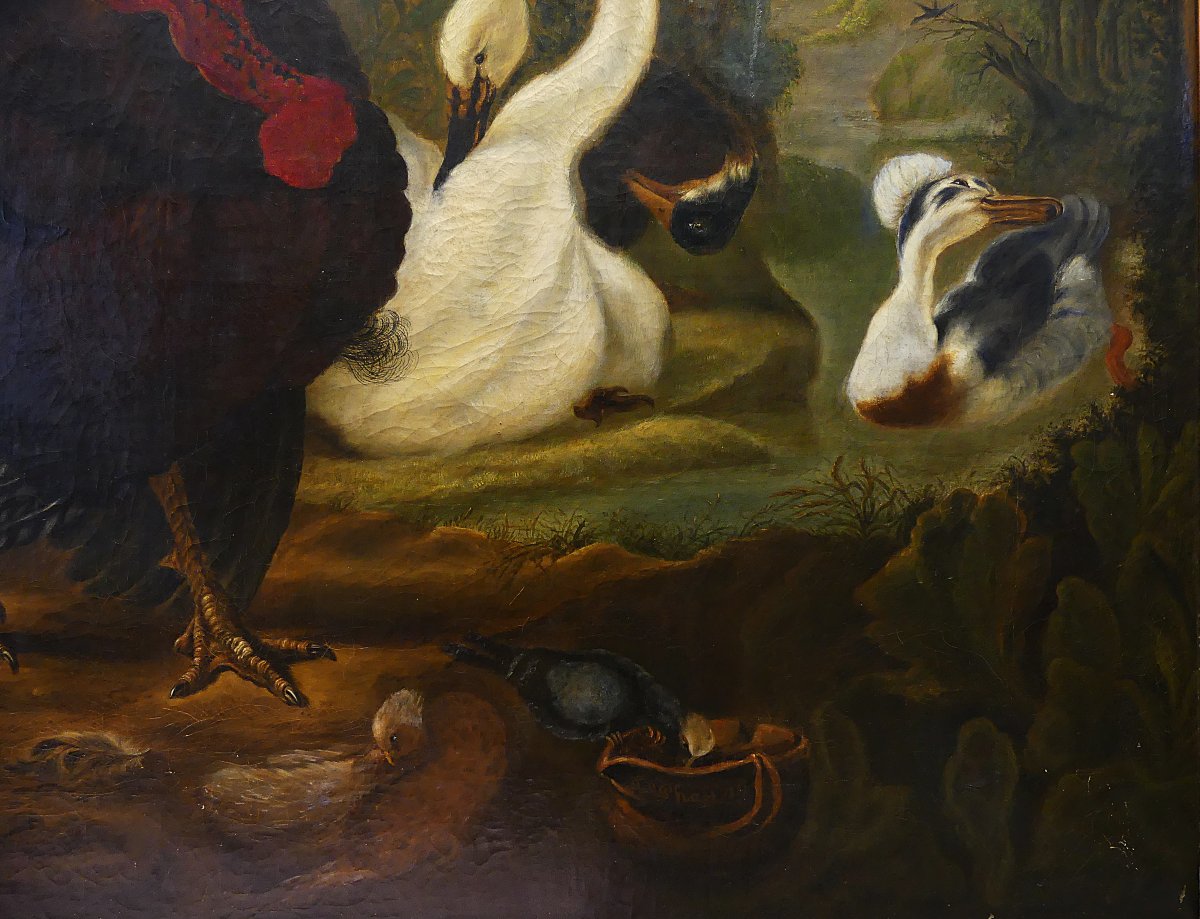DISPUTA TRA TACCHINO E GALLO "" DA ABRAHAM BUSSCHOP"""-photo-6