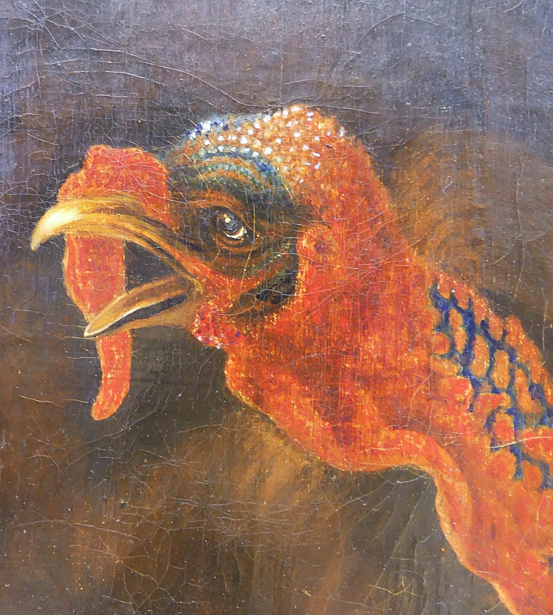 DISPUTA TRA TACCHINO E GALLO "" DA ABRAHAM BUSSCHOP"""-photo-7