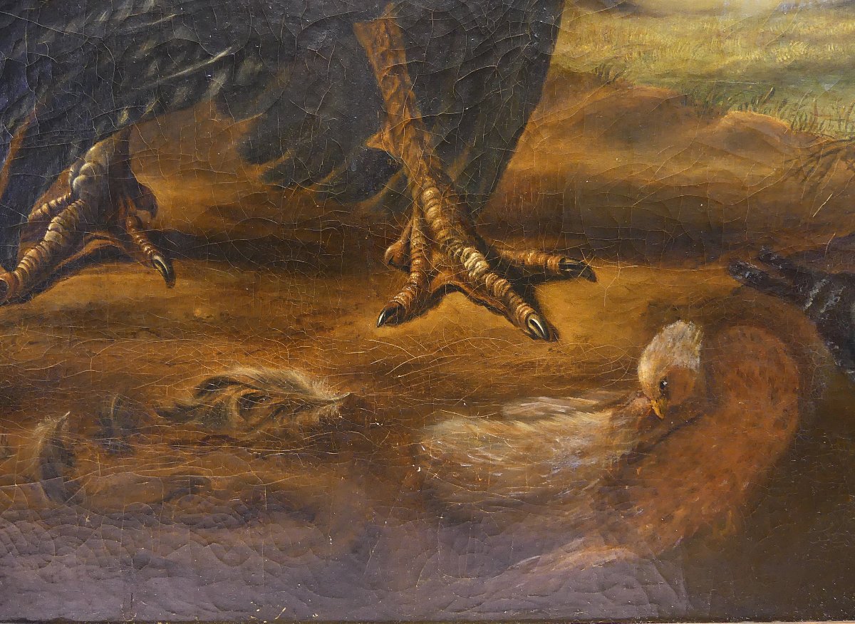 DISPUTA TRA TACCHINO E GALLO "" DA ABRAHAM BUSSCHOP"""-photo-8