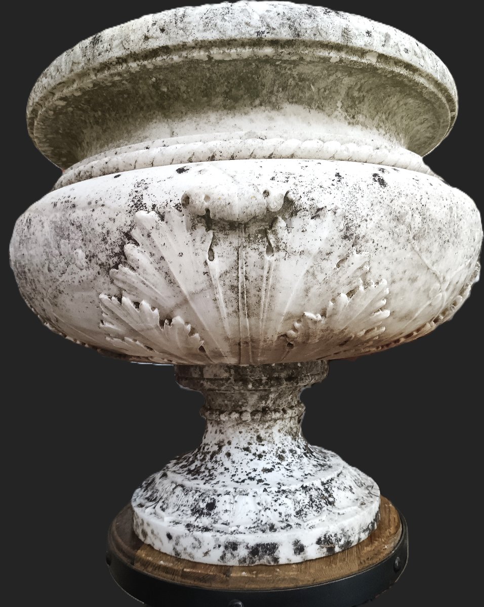 PIEMONTE GRANDE VASO NEOCLASIICO-photo-1