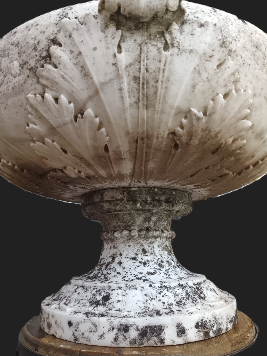 PIEMONTE GRANDE VASO NEOCLASIICO-photo-4