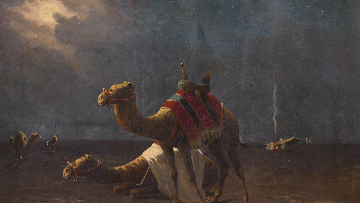 M.BOUVIER "NOTTE NEL DESERTO"-photo-6