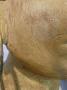 1562253-alb-684400b48cc67.jpg