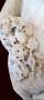 1586875-alb-687a4cb75c4bd.jpg
