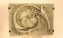 1586880-687a4e278f626.jpg