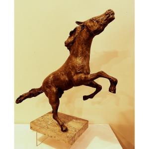 TOMMASO GISMONDI  IL CAVALLO RAMPANTE