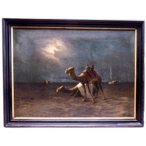 M.BOUVIER "NOTTE NEL DESERTO"