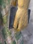 1810446-6a881c07c2e8a.jpg