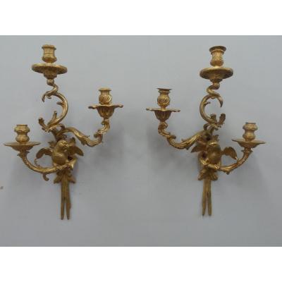 Pair Of Parrot Sconces