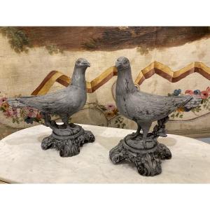 Pair Of Pigeons In Regula