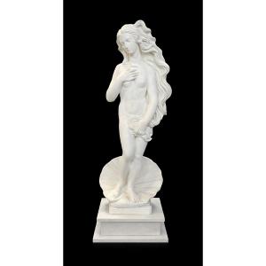 Marble Sculpture - Venus Anadyomene - Birth Of Venus - Circa 1900
