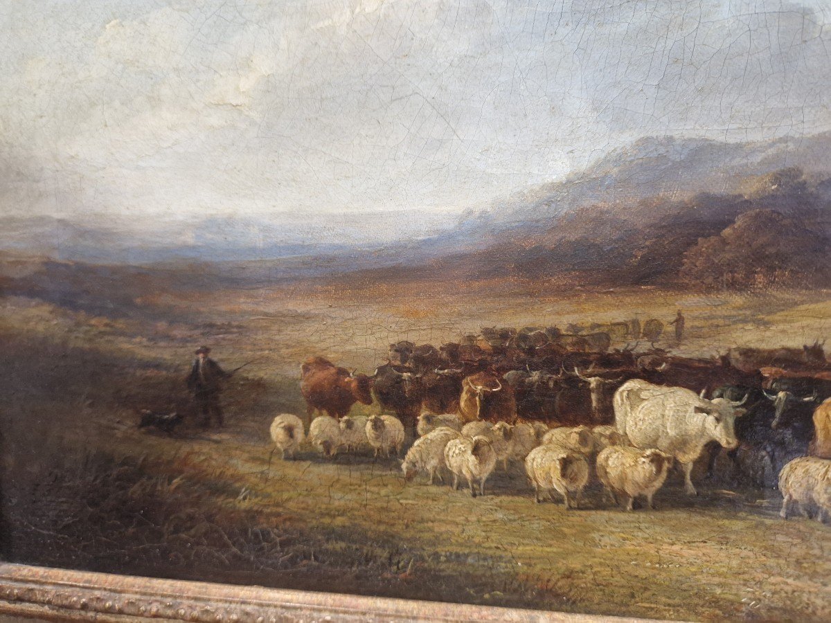 Dipinto su tela paesaggio con armenti. Inghilterra XIX secolo-photo-1