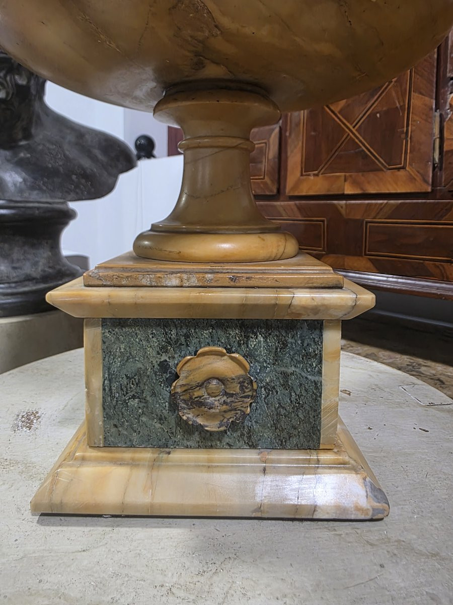 Coppa Grand Tour in marmo giallo antico e marmo verde delle Alpi Italia XIX-photo-3