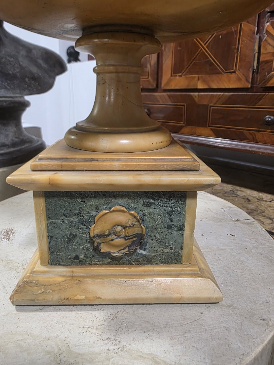 Coppa Grand Tour in marmo giallo antico e marmo verde delle Alpi Italia XIX-photo-3