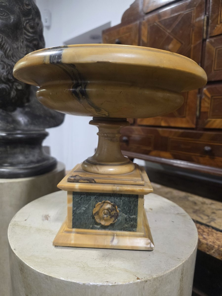 Coppa Grand Tour in marmo giallo antico e marmo verde delle Alpi Italia XIX-photo-4