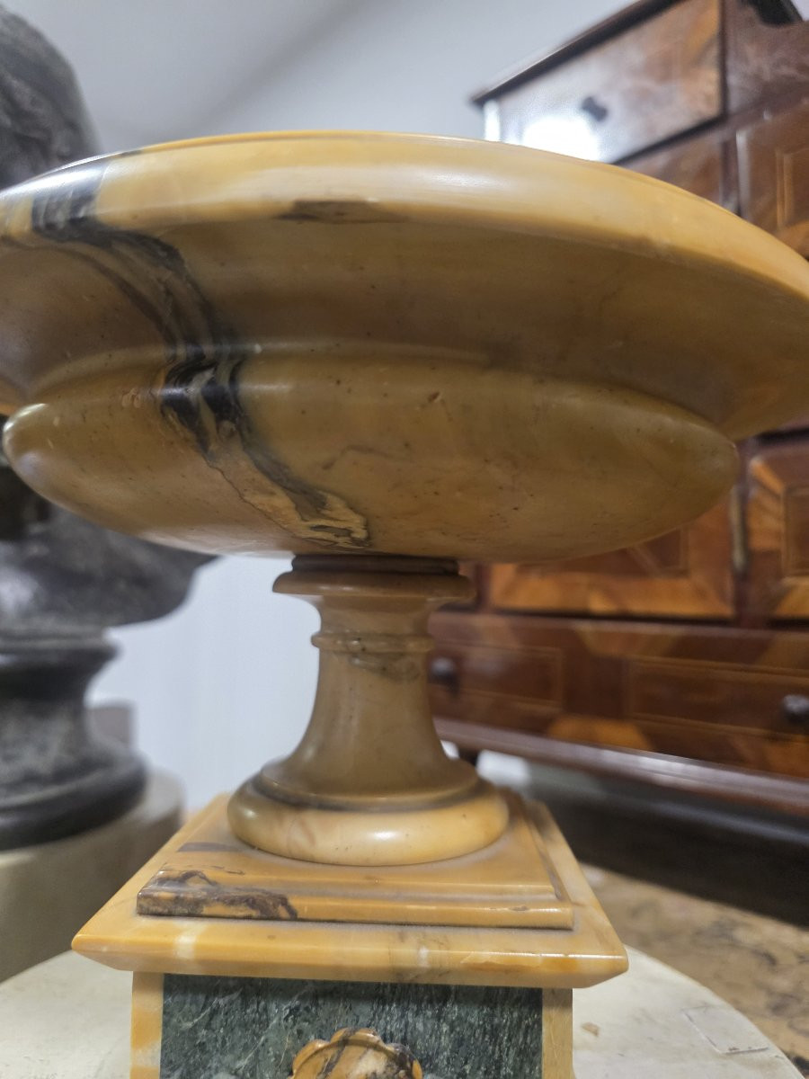 Coppa Grand Tour in marmo giallo antico e marmo verde delle Alpi Italia XIX-photo-5