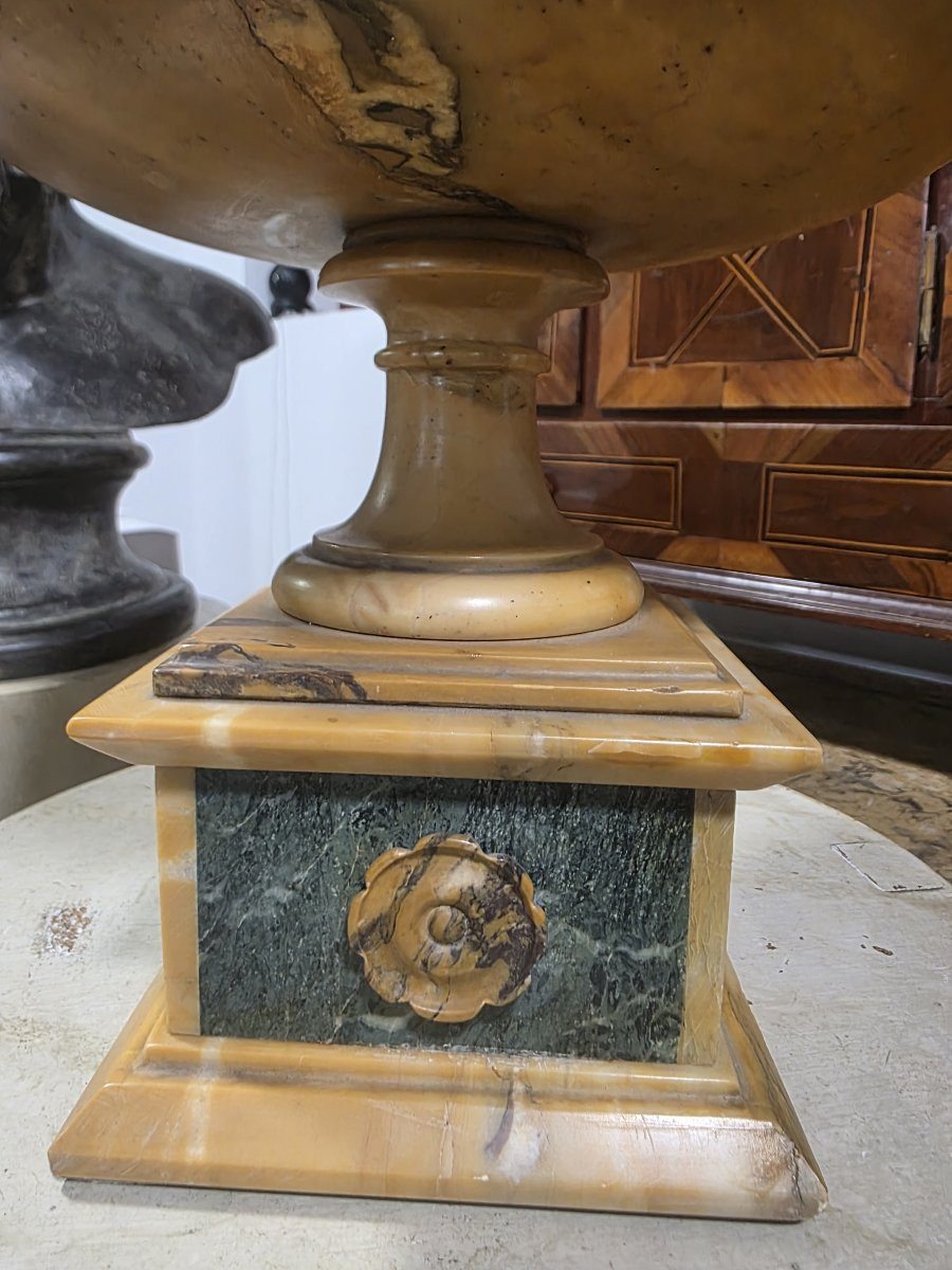 Coppa Grand Tour in marmo giallo antico e marmo verde delle Alpi Italia XIX-photo-6