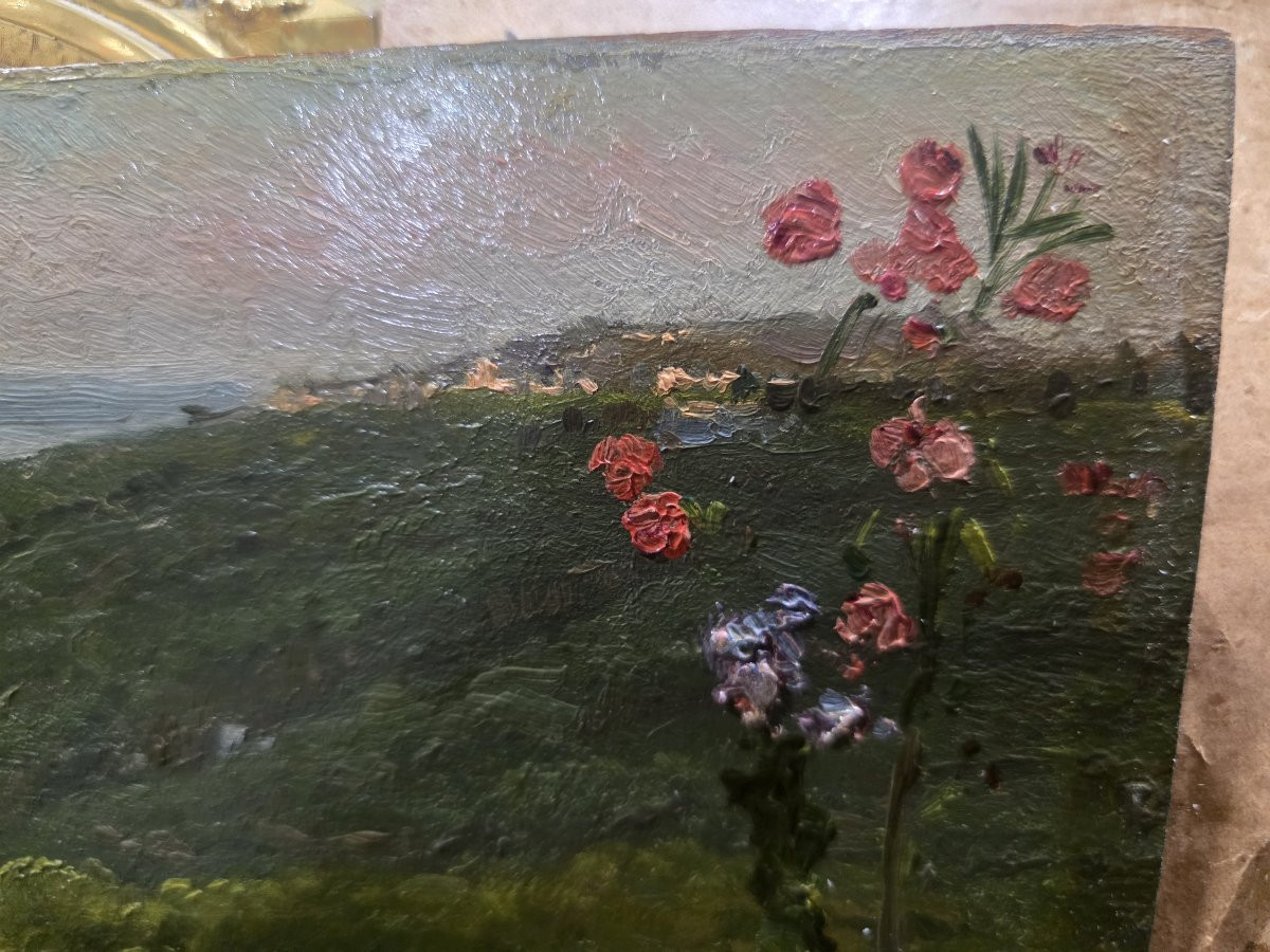 Eduardo Dalbono (1841-1915) Studio per raffigurazione paesaggio marino fine ottocento-photo-7