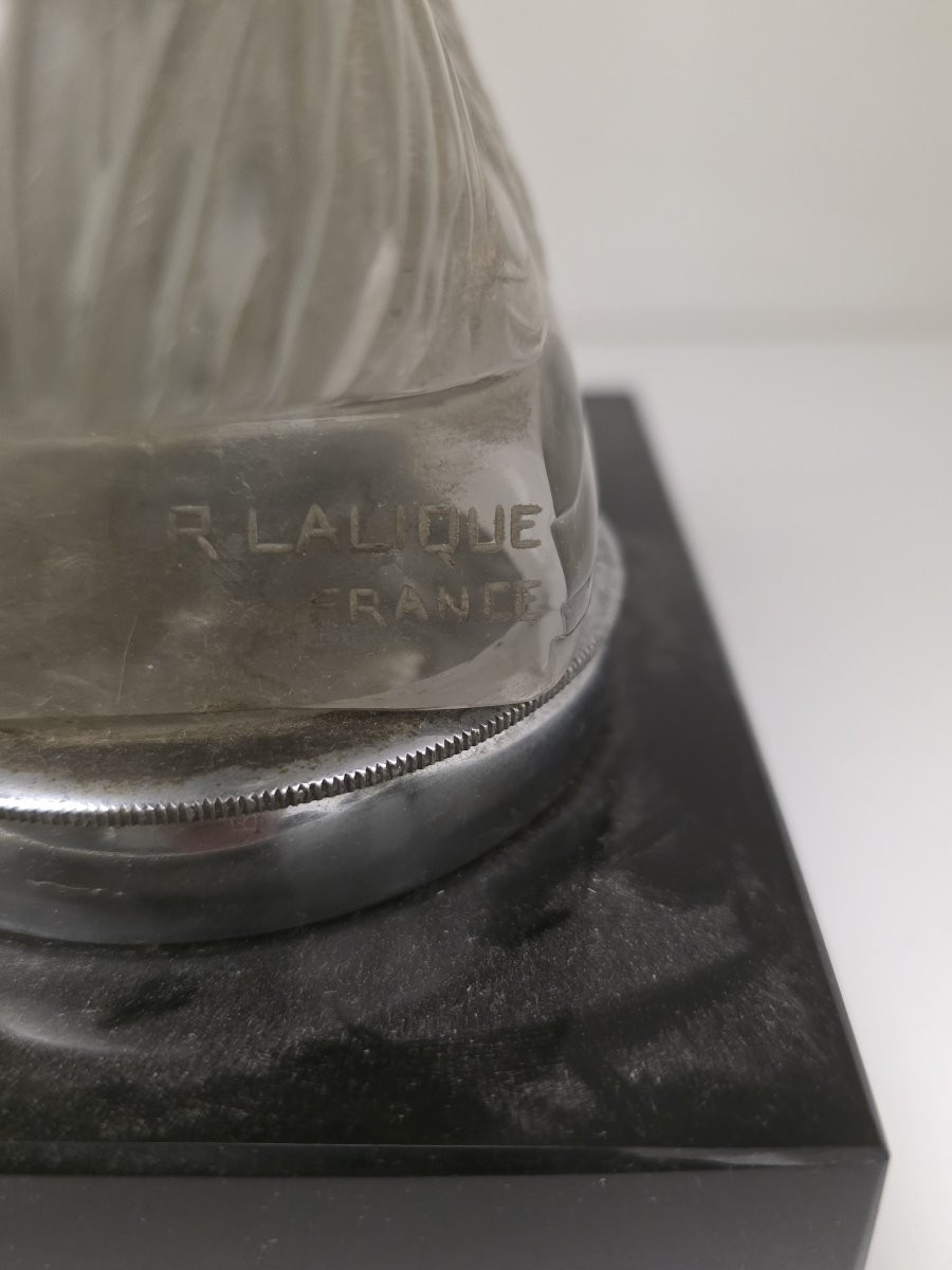 Coppia di Galli in cristallo di R.Lalique fine anni venti-photo-4