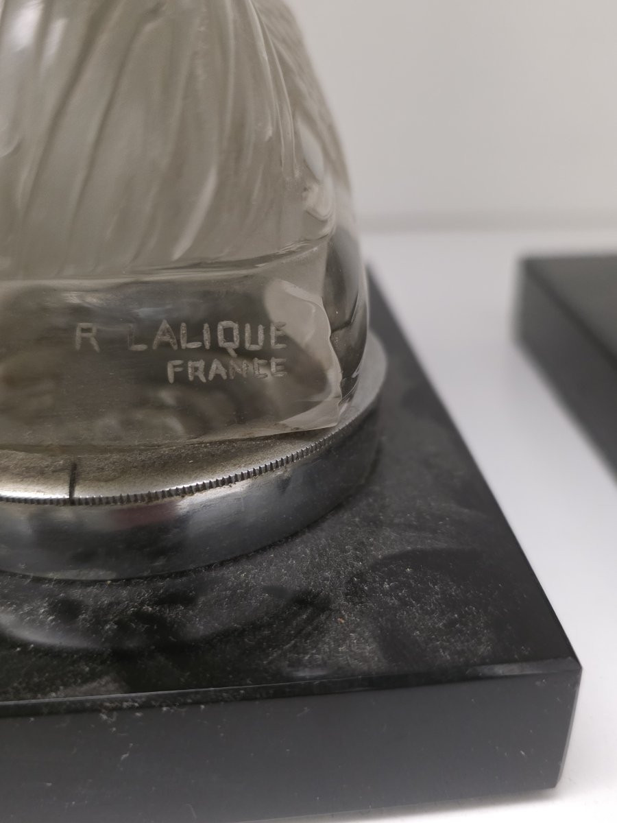 Coppia di Galli in cristallo di R.Lalique fine anni venti-photo-3