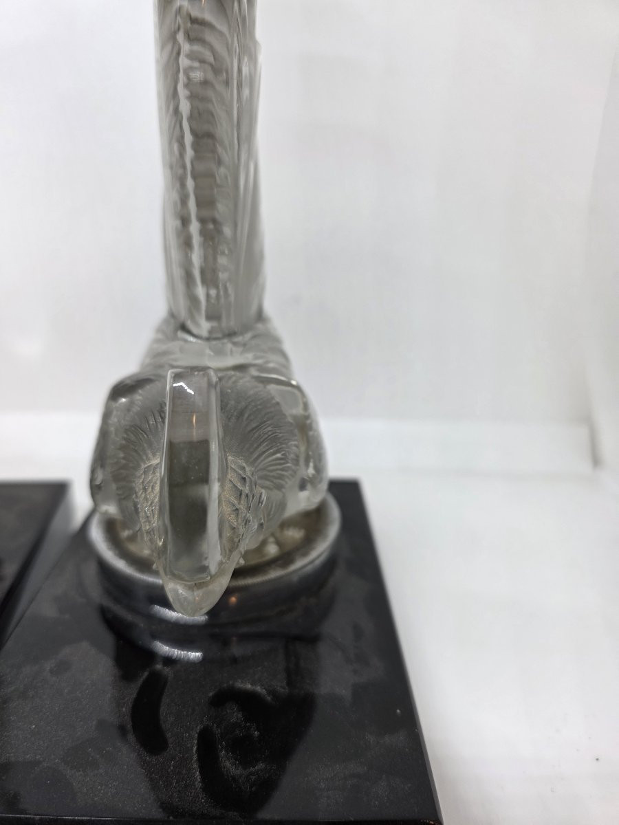 Coppia di Galli in cristallo di R.Lalique fine anni venti-photo-5