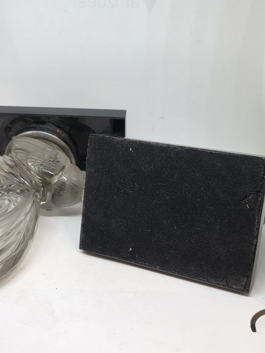 Coppia di Galli in cristallo di R.Lalique fine anni venti-photo-8