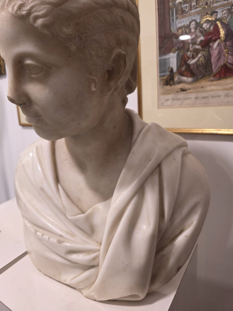 Statua in marmo raffigurante Plautilia Firenze, XVIII secolo-photo-3