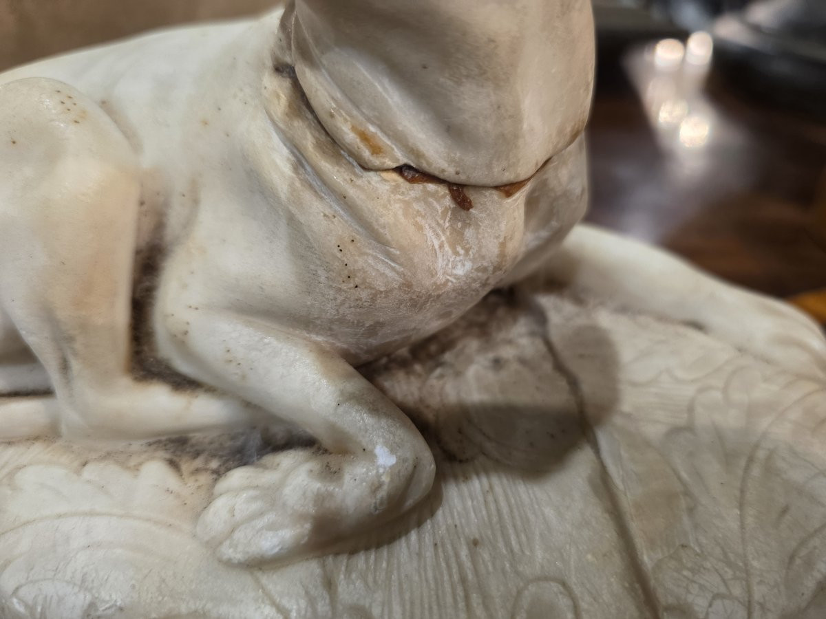 Piccola scultura in marmo raffigurante un cane sdraiato. Italia XVIII-photo-1