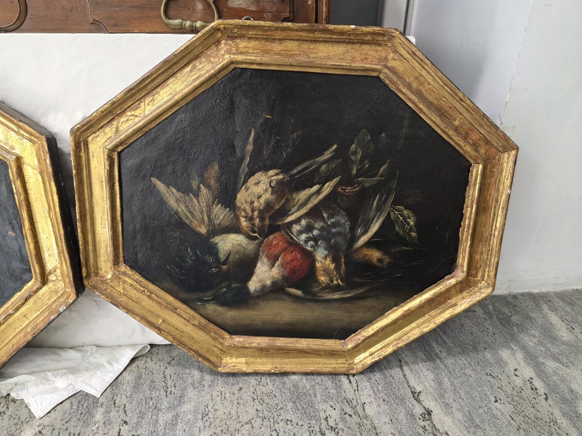 Coppia di nature morte con cacciagione – Olio su tela, XVII-XVIII secolo-photo-2