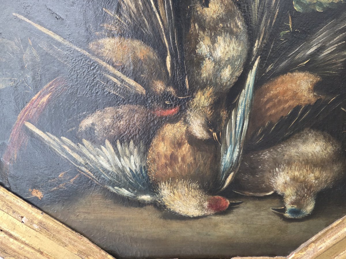Coppia di nature morte con cacciagione – Olio su tela, XVII-XVIII secolo-photo-4
