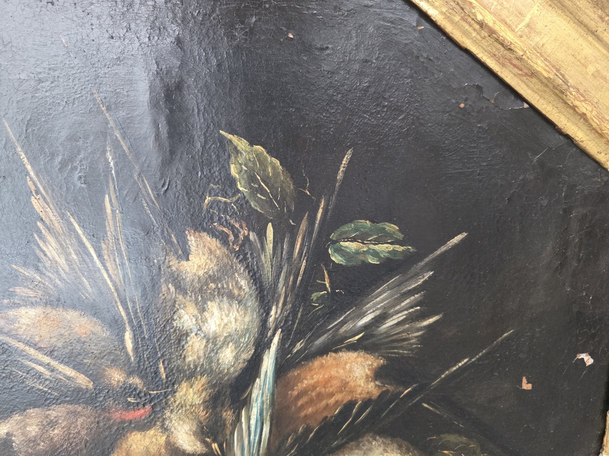 Coppia di nature morte con cacciagione – Olio su tela, XVII-XVIII secolo-photo-1