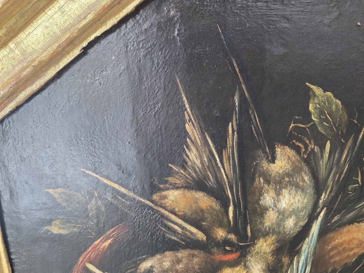 Coppia di nature morte con cacciagione – Olio su tela, XVII-XVIII secolo-photo-2