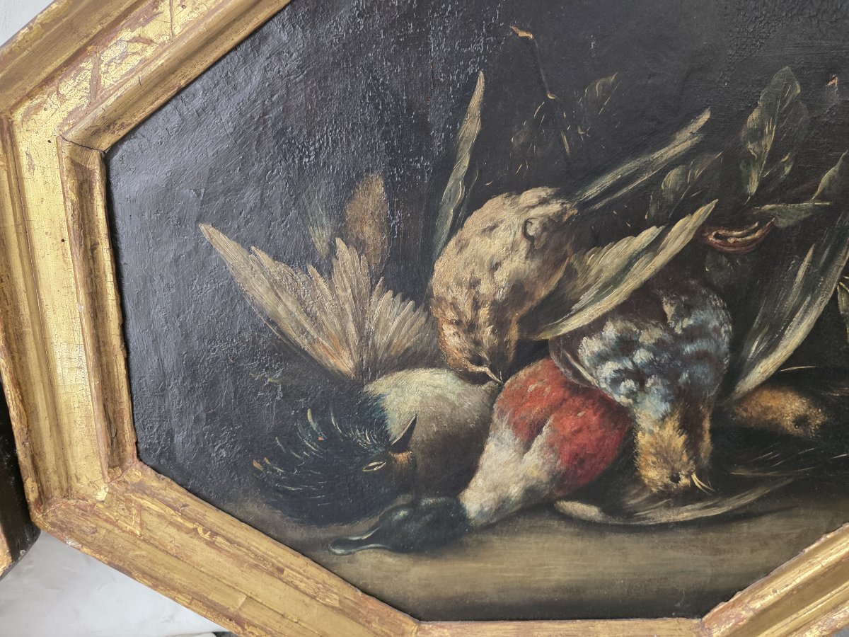 Coppia di nature morte con cacciagione – Olio su tela, XVII-XVIII secolo-photo-4