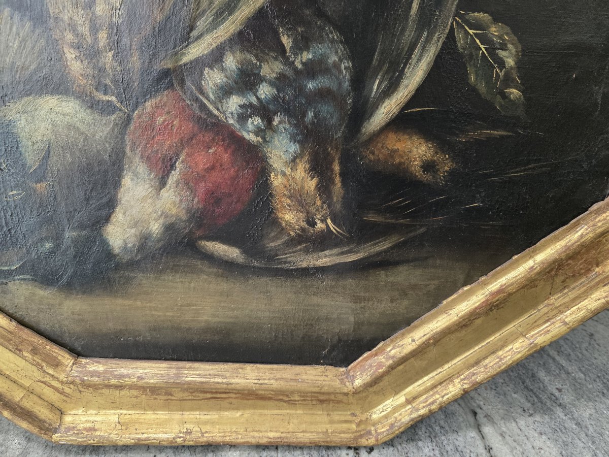 Coppia di nature morte con cacciagione – Olio su tela, XVII-XVIII secolo-photo-6