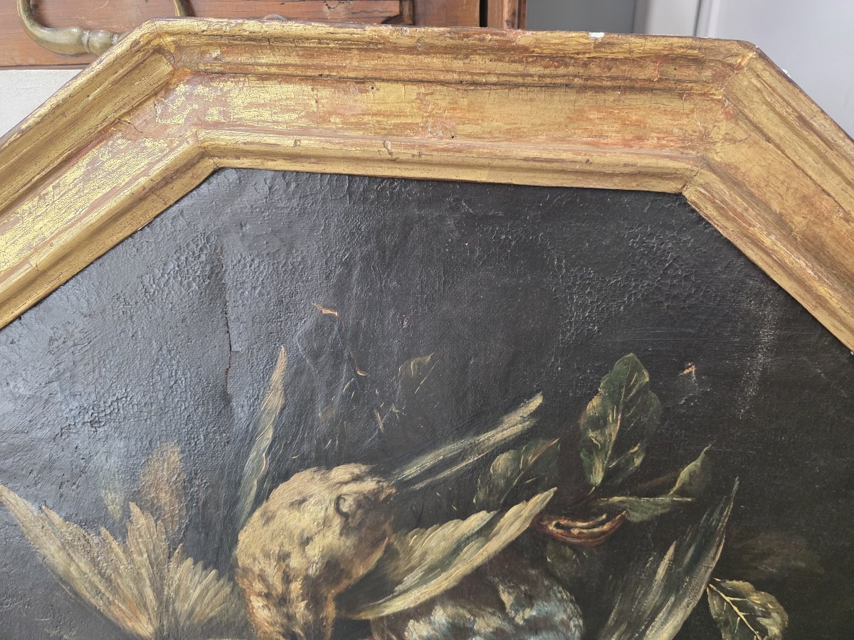 Coppia di nature morte con cacciagione – Olio su tela, XVII-XVIII secolo-photo-7