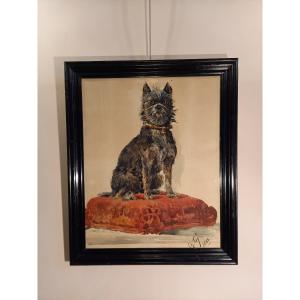 19th-century Watercolor On Paper Depicting A Cairn Terrier On A Cushion