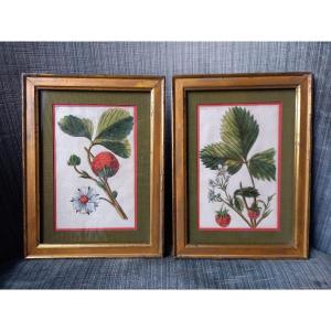 Pair Of Engravings With Colored Highlights By François-noël Sellier (1737-18..)