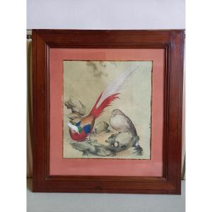 Chinese Gouache Depicting A Pair Of Golden Pheasants During Their Mating Display