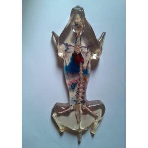 Anatomical Model Of Rabbit Blood Circulation