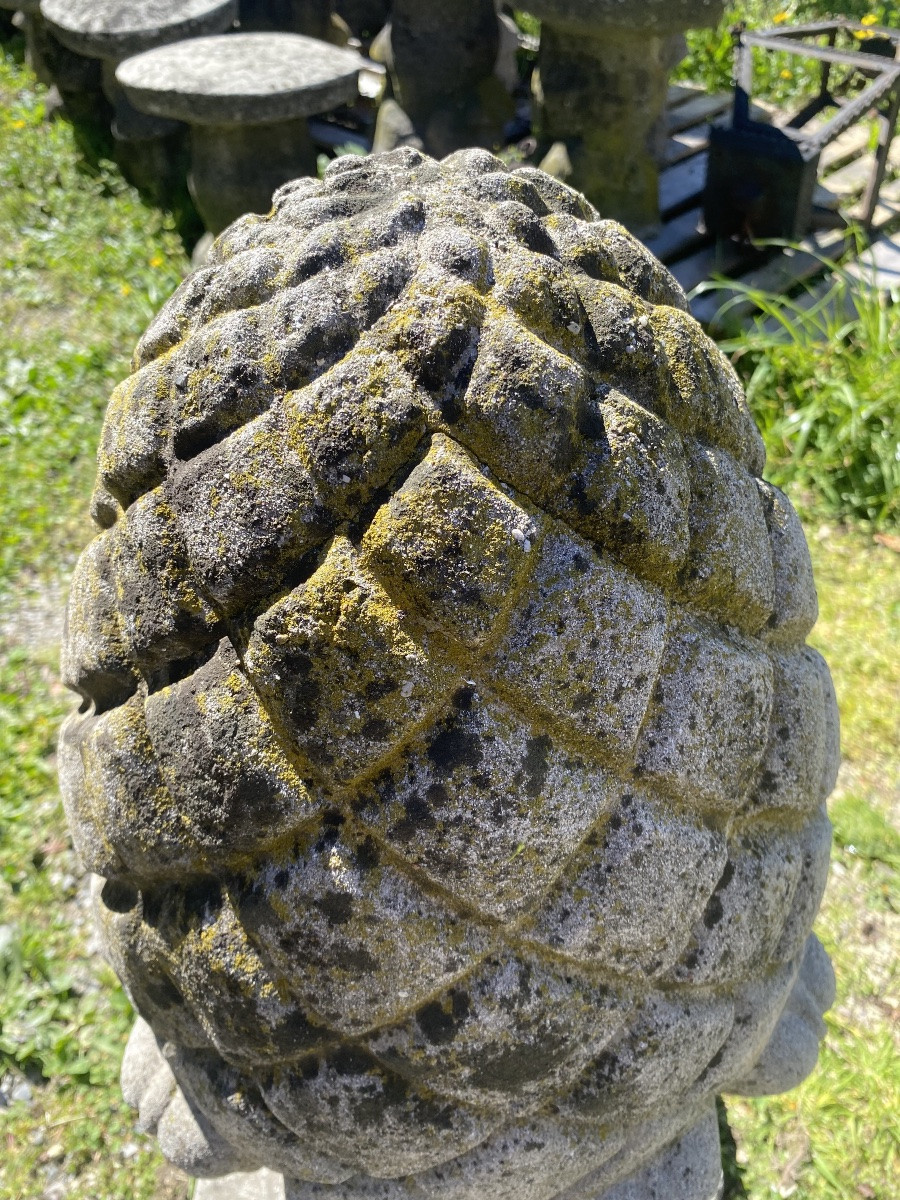 Coppia di pigne capipiglia dei primi del 1900-photo-4