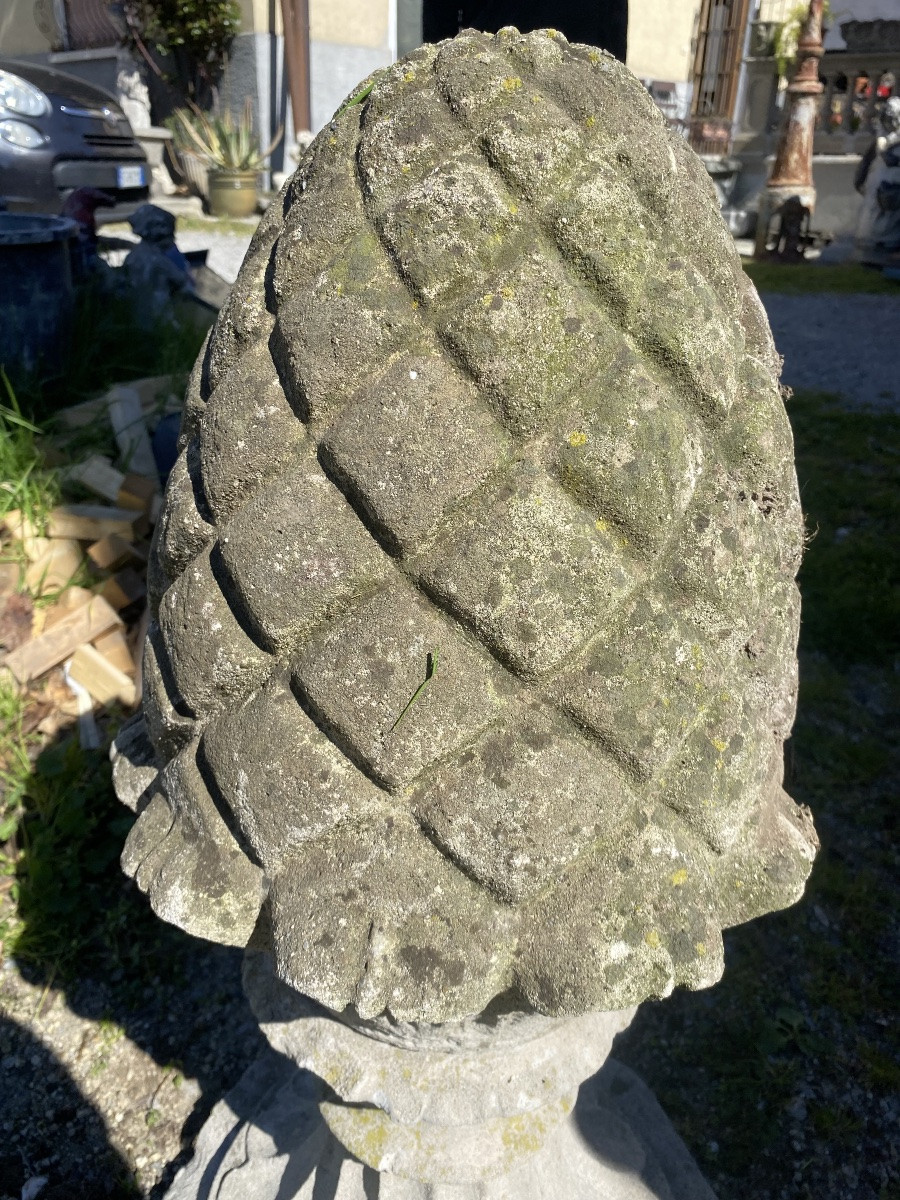 Coppia di pigne capipiglia dei primi del 1900-photo-2