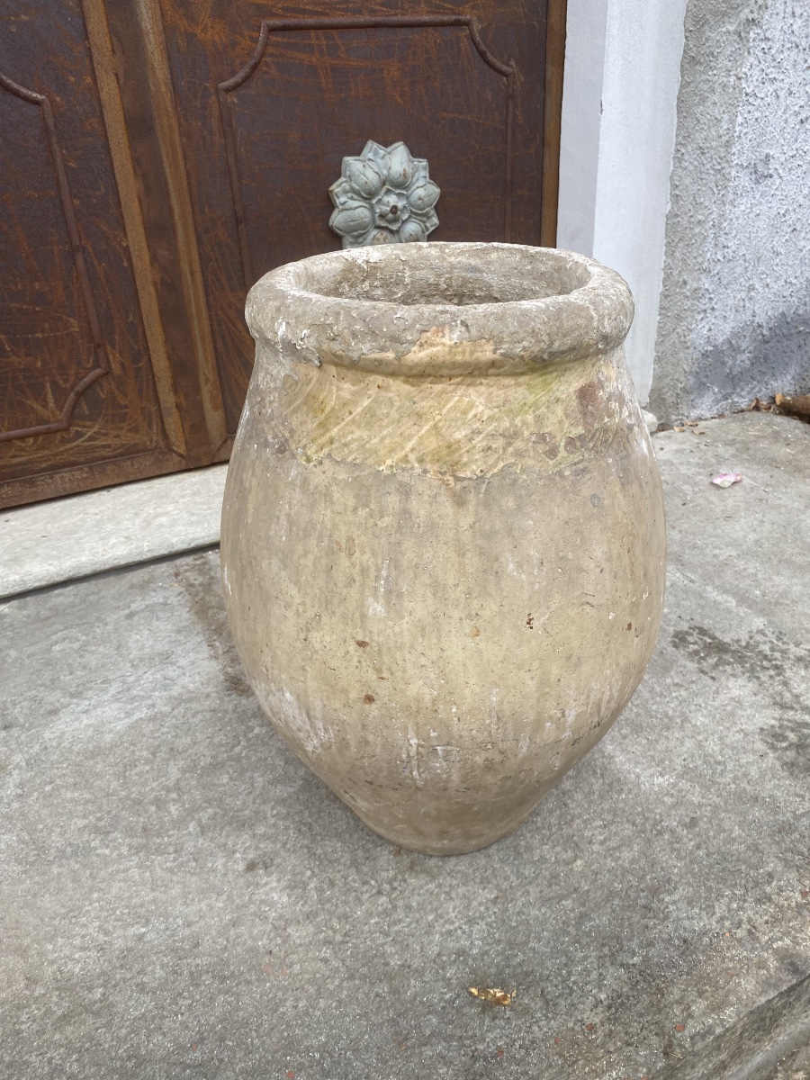 Giara ligure -photo-3