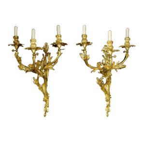 Pair Of Rocaille Louis XV Style Sconces
